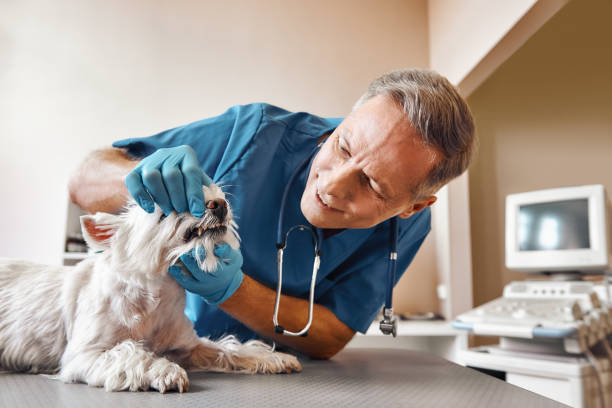 Best Pediatric Emergency Dentist in Midwest City, OK